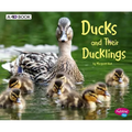 Ducks and Their Ducklings: A 4D Book - Paperback