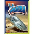 La Piraiba - Hardcover