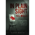 In Plain Sight - Paperback
