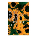 Who Would Have Thought It?: My Story of the American Civil War (Autobiographical Novel) - Paperback