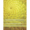 Big Ideas in Infinite Processes: For Future Mathematics Teachers - Paperback