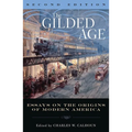 Gilded Age: Perspectives on the Origins of Modern America - Paperback