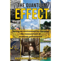 The Quantuum Effect: Saving our environment by changing the measurement of economic performance - Paperback