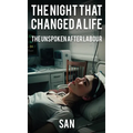 The Night that Changed a Life: The unspoken after Labour - Hardcover