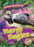 Harpy Eagles - Library Binding