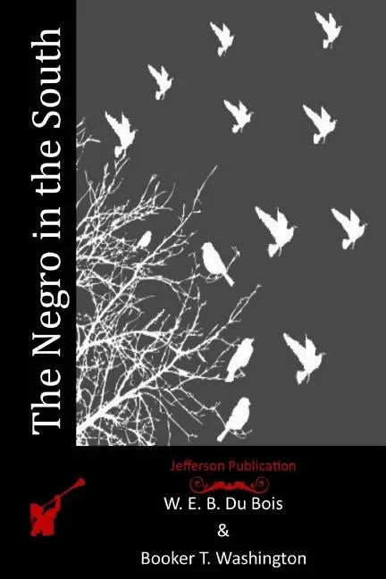 The Negro in the South - Paperback