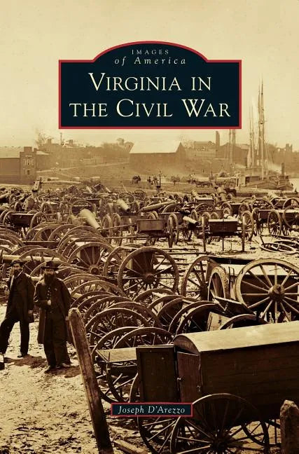 Virginia in the Civil War - Hardcover