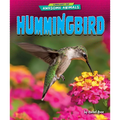 Hummingbird - Paperback