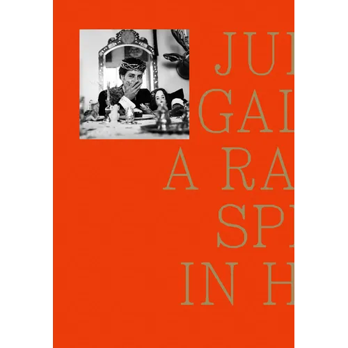 Julio Galán: A Rabbit Split in Half - Paperback