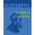 The Agony and the Ecstasy Glossary and Notes: The Agony and the Ecstasy - Paperback