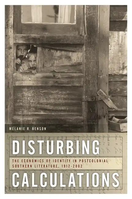 Disturbing Calculations: The Economics of Identity in Postcolonial Southern Literature, 1912-2002 - Paperback