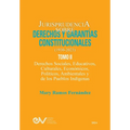 JURISPRUDENCIA SOBRE DERECHOS Y GARANTÍAS CONSTITUCIONALES. 1930-2023. TOMO II. Derechos sociales, educativos, culturales, económicos, políticos, ambi - Paperback