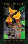 Small Wonders - Paperback