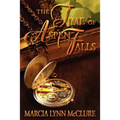 The Time of Aspen Falls - Paperback