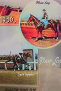 Phar Lap: 'Big Red' Souvenirs - Paperback