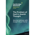 The Problem of God in Jewish Thought - Paperback