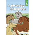 A Birthday Surprise - Hardcover