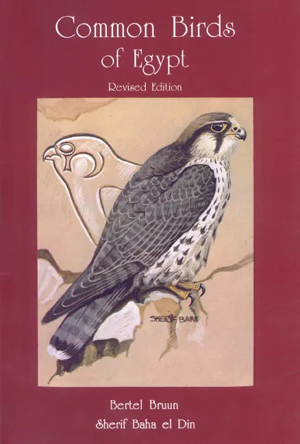Common Birds of Egypt - Paperback