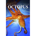 Octopus - Curious Kids Press: Kids book about animals and wildlife, Children's books 4-6 - Paperback