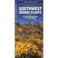 Southwestern Desert Plants: An Introduction to Familiar Species - Paperback
