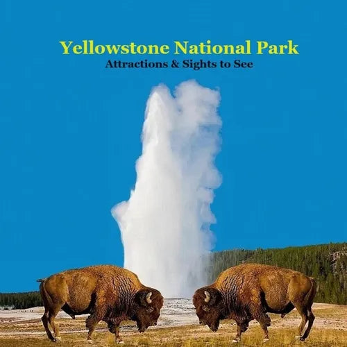 Yellowstone Park Attractions and Sights to See Kids Book: Great Book for kids about Yellowstone National Park - Paperback
