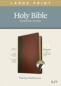 KJV Large Print Thinline Reference Bible, Filament Enabled Edition (Red Letter, Leatherlike, Brown/Mahogany, Indexed) - Imitation Leather