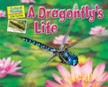 A Dragonfly's Life - Paperback