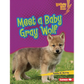 Meet a Baby Gray Wolf - Library Binding