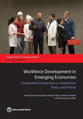Workforce Development in Emerging Economies: Comparative Perspectives on Institutions, Praxis, and Policies for Economic Development - Paperback
