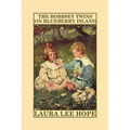 The Bobbsey Twins on Blueberry Island - Paperback