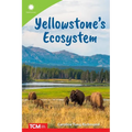 Yellowstone's Ecosystem - Paperback