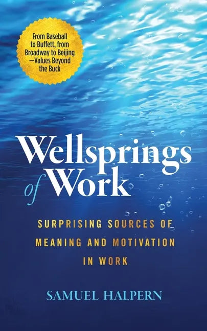 Wellsprings of Work: Surprising Sources of Meaning and Motivation in Work - Paperback