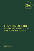 Flashes of Fire: A Literary Analysis of the Song of Songs - Paperback
