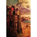 Careful Mountain - Paperback