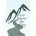 What Happened After Lambton: A Pride and Prejudice Variation - Paperback