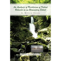 An Analysis of Recidivism of Violent Behavior in an Elementary School - Paperback