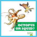 Octopus or Squid? - Library Binding