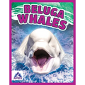 Beluga Whales - Paperback