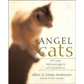 Angel Cats: Divine Messengers of Comfort - Paperback