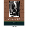L'Assommoir - Paperback