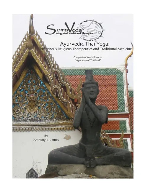Ayurvedic Thai Yoga: SomaVeda(R) Level Two Workbook - Paperback