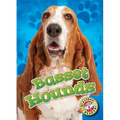 Basset Hounds - Library Binding