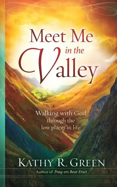 Meet Me in the Valley: Walking With God Through the Low Places in Life - Paperback