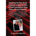 Navigating the Maze During Treatment of Adult Survivors of Child Psychological Abuse: A Comprehensive Resource Guide for Mental Health Practitioners, - Paperback