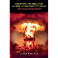 Dropping Truth Bombs on the Hidden Mine Field of Lies and Curruption - Paperback