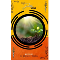 The Prolific One - Paperback