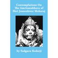 Contemplations On The Amritanubhava of Shri Jnaneshwar Maharaj - Paperback
