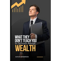 What They Don't Teach You In School About Wealth: The Importance of Financial Literacy - Paperback