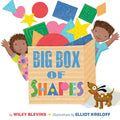 Big Box of Shapes - Paperback