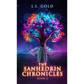 The Sanhedrin Chronicles - Paperback